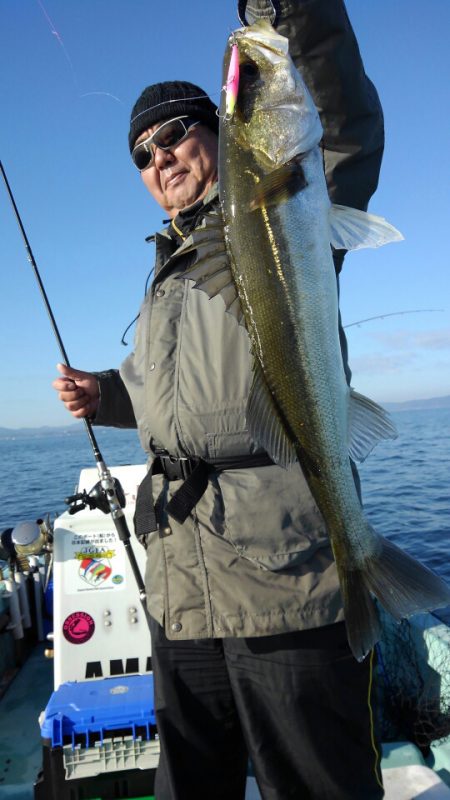 アマテラス 釣果