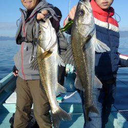 アマテラス 釣果