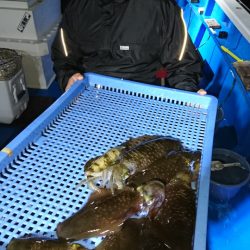 第三共栄丸 釣果