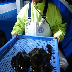 第三共栄丸 釣果