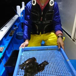 第三共栄丸 釣果