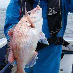 新幸丸 釣果