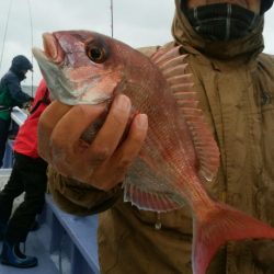 新幸丸 釣果