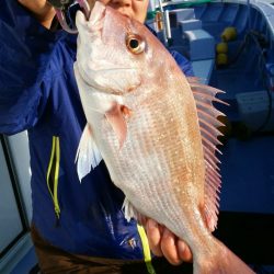 新幸丸 釣果