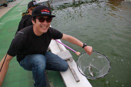 としまえんフィッシングエリア 釣果