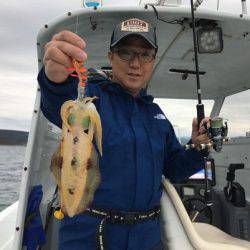 South Current 釣果