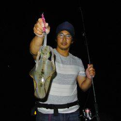 South Current 釣果