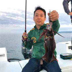 South Current 釣果