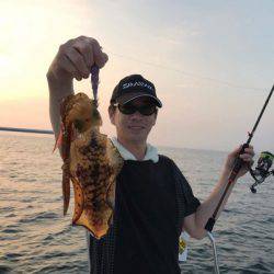 South Current 釣果