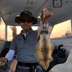 South Current 釣果