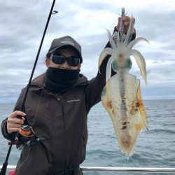 South Current 釣果