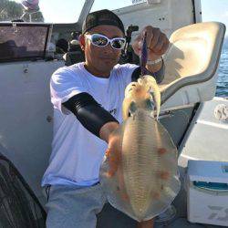 South Current 釣果