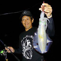 South Current 釣果