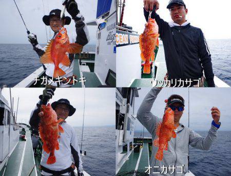 Big One　ビッグワン 釣果