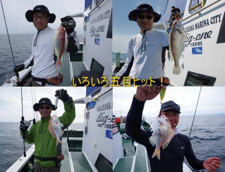 Big One　ビッグワン 釣果