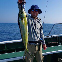 Big One　ビッグワン 釣果