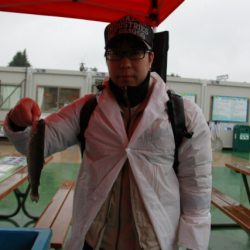 としまえんフィッシングエリア 釣果