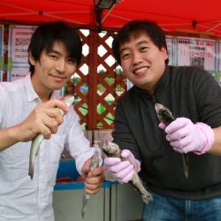 としまえんフィッシングエリア 釣果