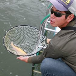 としまえんフィッシングエリア 釣果