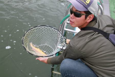 としまえんフィッシングエリア 釣果