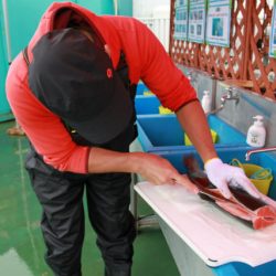 としまえんフィッシングエリア 釣果