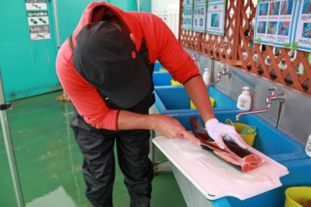 としまえんフィッシングエリア 釣果