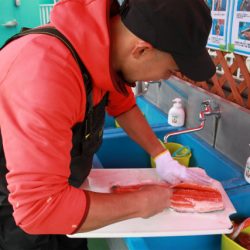 としまえんフィッシングエリア 釣果