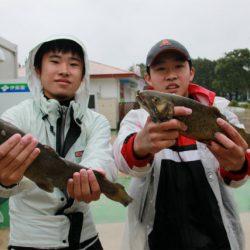 としまえんフィッシングエリア 釣果