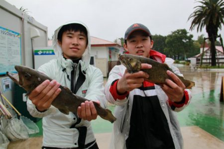 としまえんフィッシングエリア 釣果