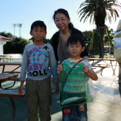 としまえんフィッシングエリア 釣果