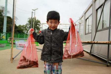 としまえんフィッシングエリア 釣果