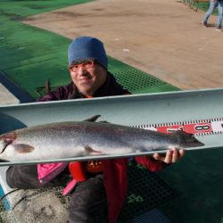 としまえんフィッシングエリア 釣果