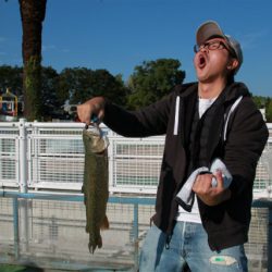 としまえんフィッシングエリア 釣果