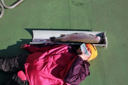 としまえんフィッシングエリア 釣果