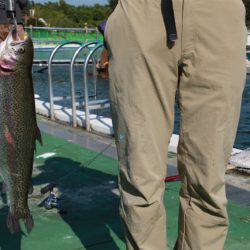 としまえんフィッシングエリア 釣果