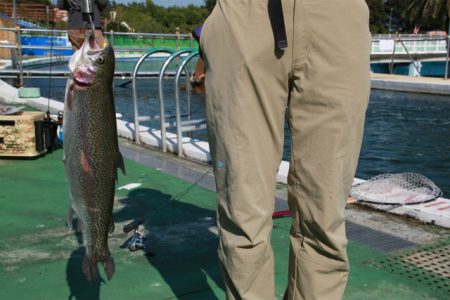 としまえんフィッシングエリア 釣果