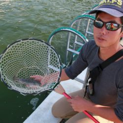 としまえんフィッシングエリア 釣果