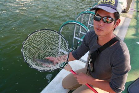 としまえんフィッシングエリア 釣果