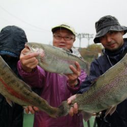 としまえんフィッシングエリア 釣果