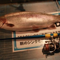 としまえんフィッシングエリア 釣果