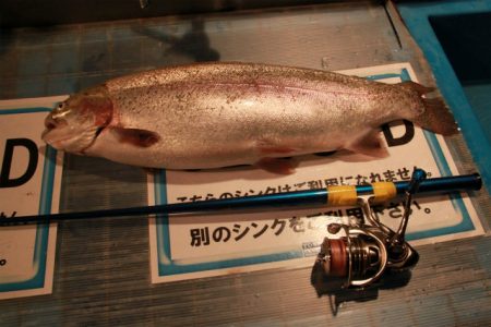 としまえんフィッシングエリア 釣果