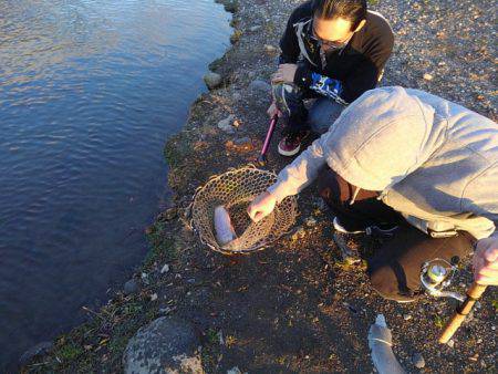 つりぼりあかし 釣果