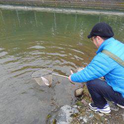 つりぼりあかし 釣果