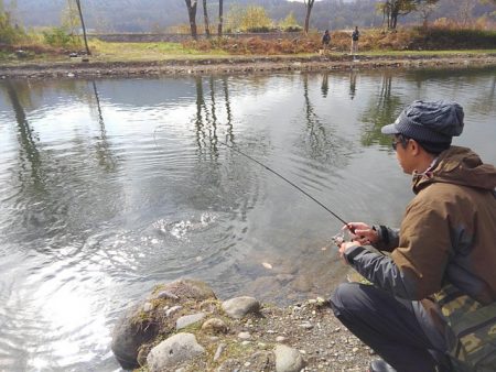 つりぼりあかし 釣果