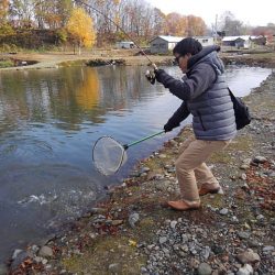 つりぼりあかし 釣果