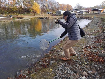 つりぼりあかし 釣果