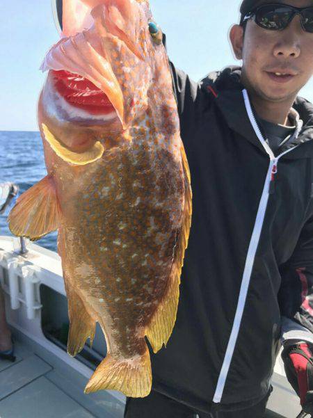 アマテラス 釣果