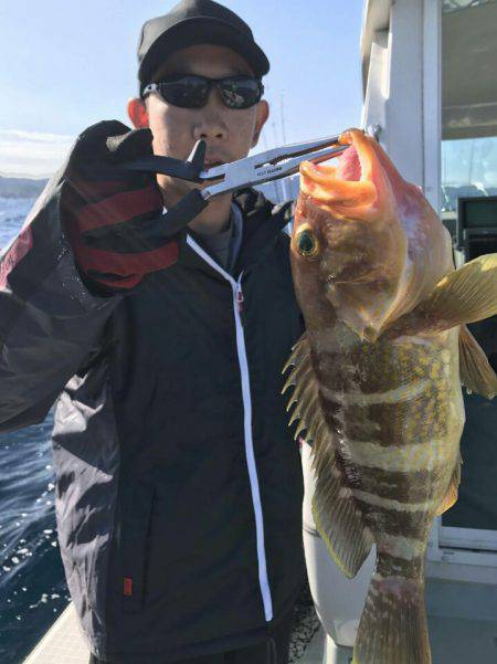 アマテラス 釣果