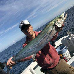 アマテラス 釣果