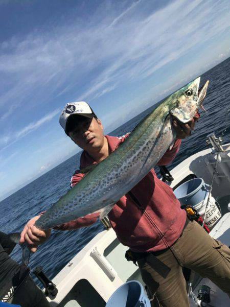 アマテラス 釣果